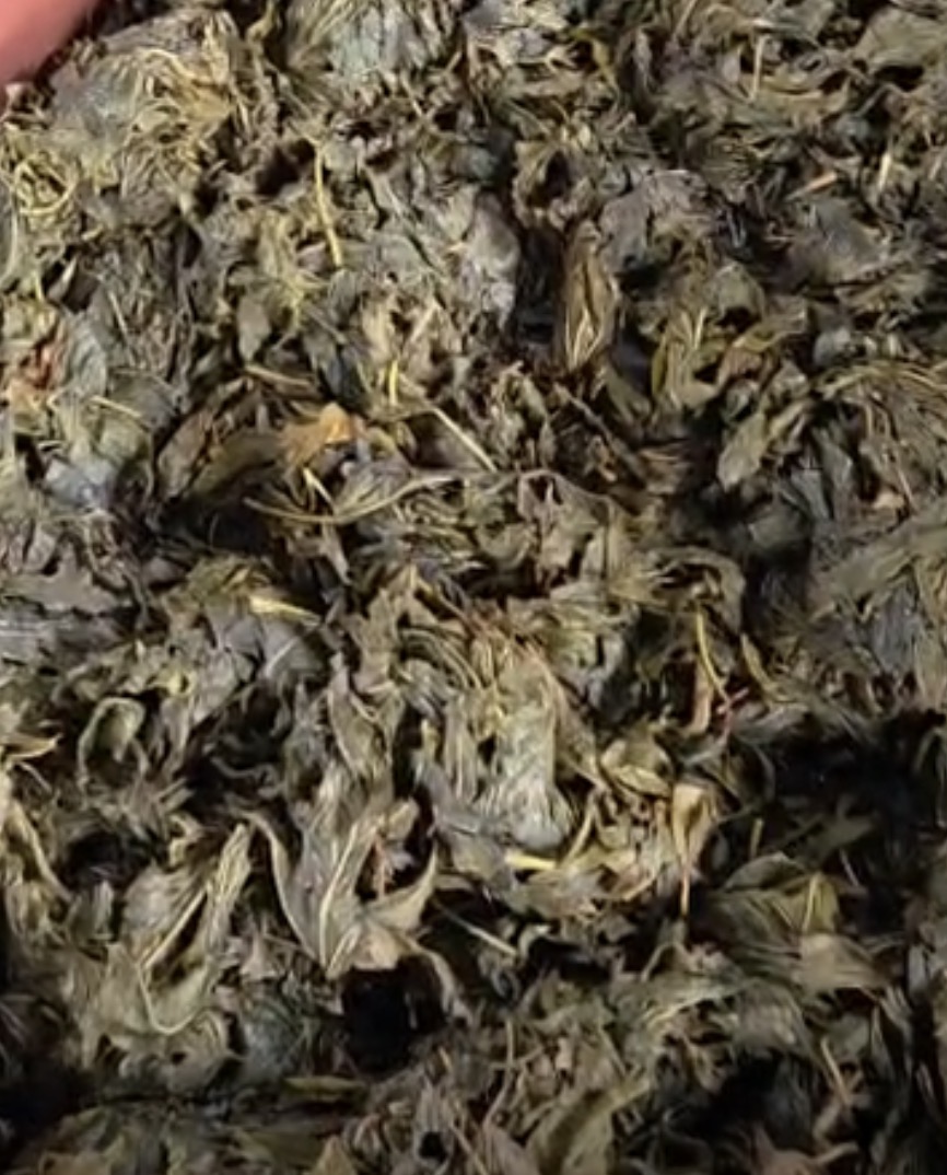 Close view of prepared Sawa Sawa leaves